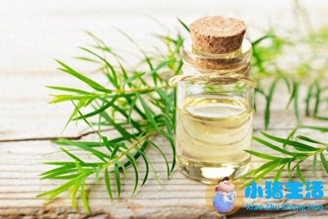 用酸奶做面膜好吗