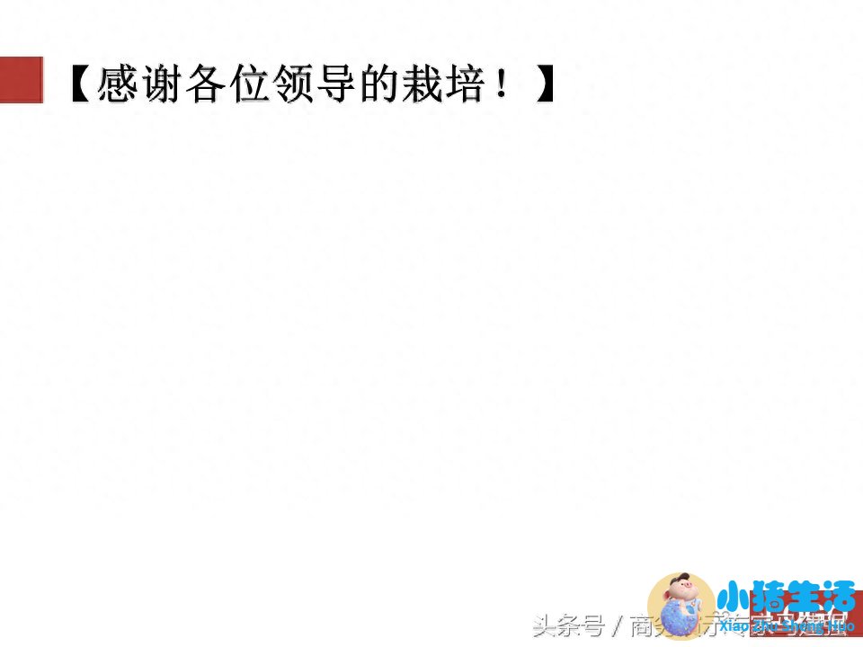 时尚女性wsto