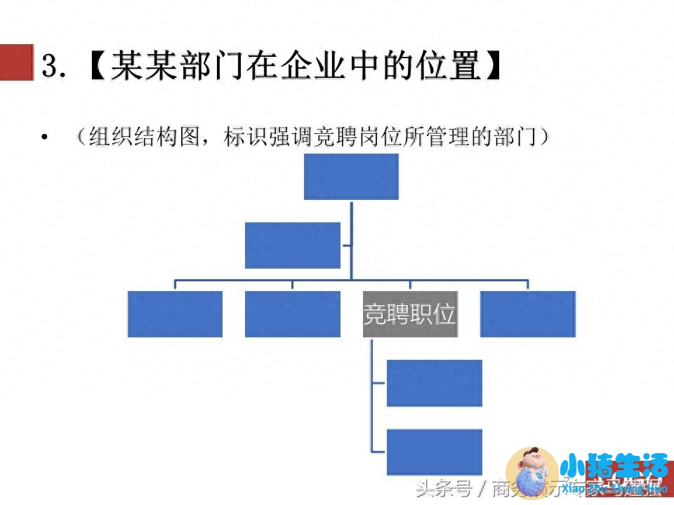 时尚女性wsto