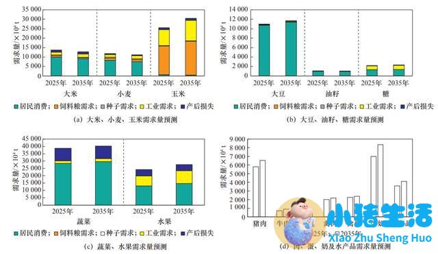 樊胜根等:践行大食物观促进全民营养健康