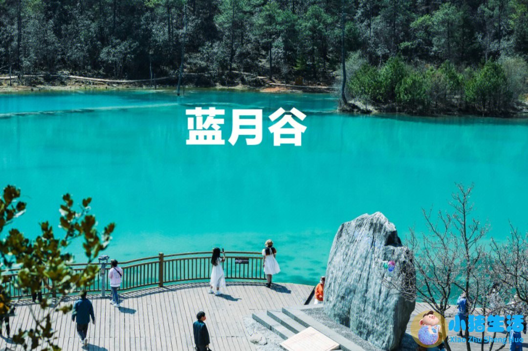 自驾游去云南要花多少钱