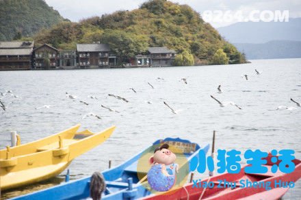 自驾游去云南要花多少钱