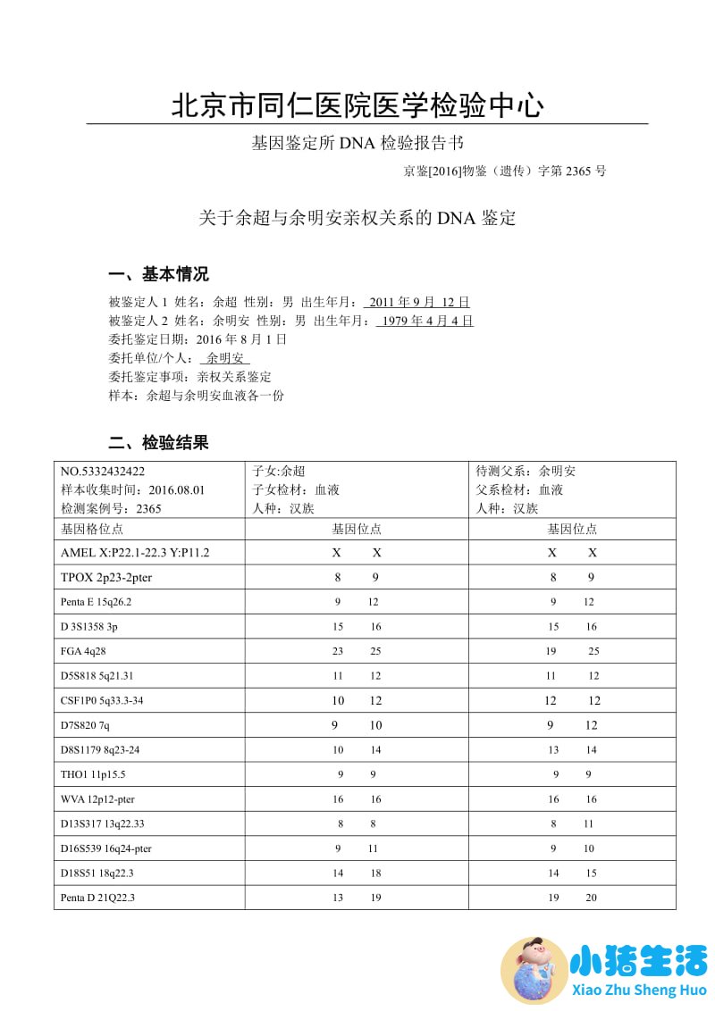 头发有几种类型