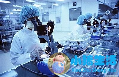 亲子鉴定几种类型去哪里做比较正规