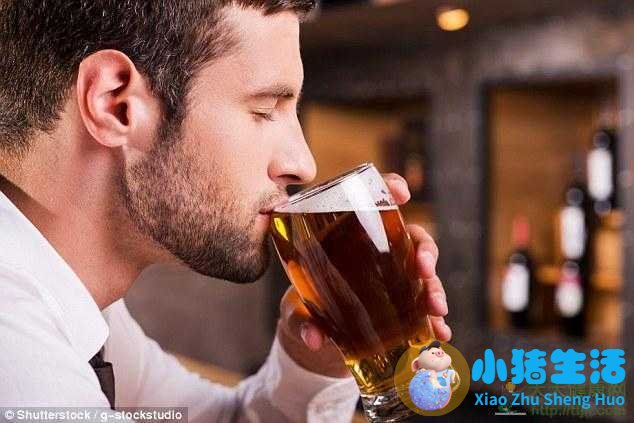 备孕能喝啤酒吗
