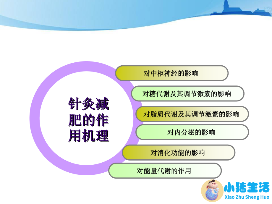 如何科学减肥不反弹