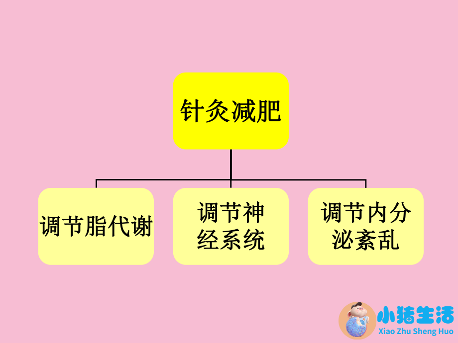 如何科学减肥不反弹