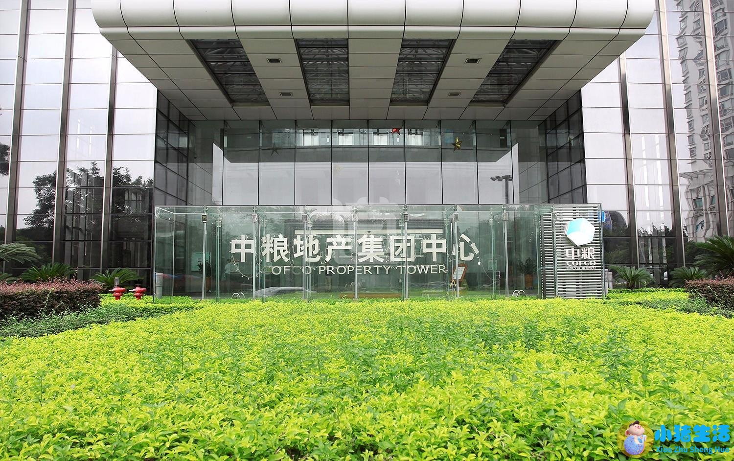 中粮健康食品