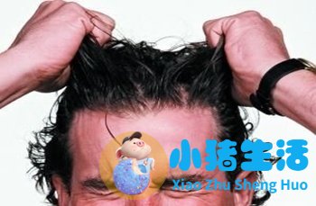 头发有几种类型