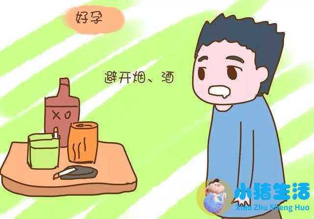 备孕能喝啤酒吗