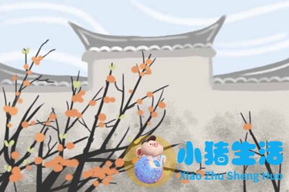 怀孕梦到蜜蜂生男生女