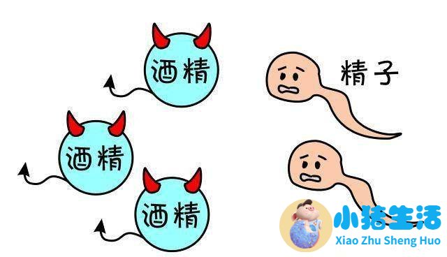 备孕能喝啤酒吗