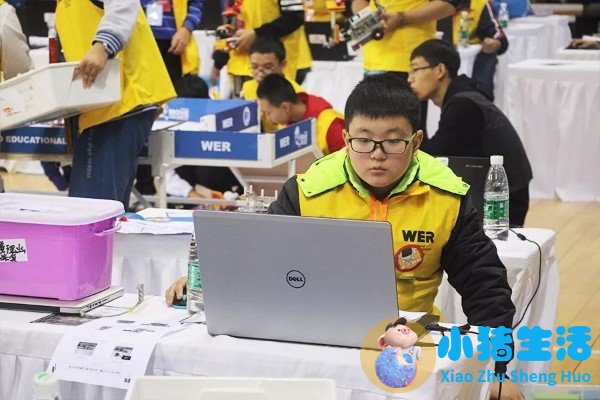 课程模式与早期教育