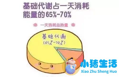夏天最简单的减肥方法
