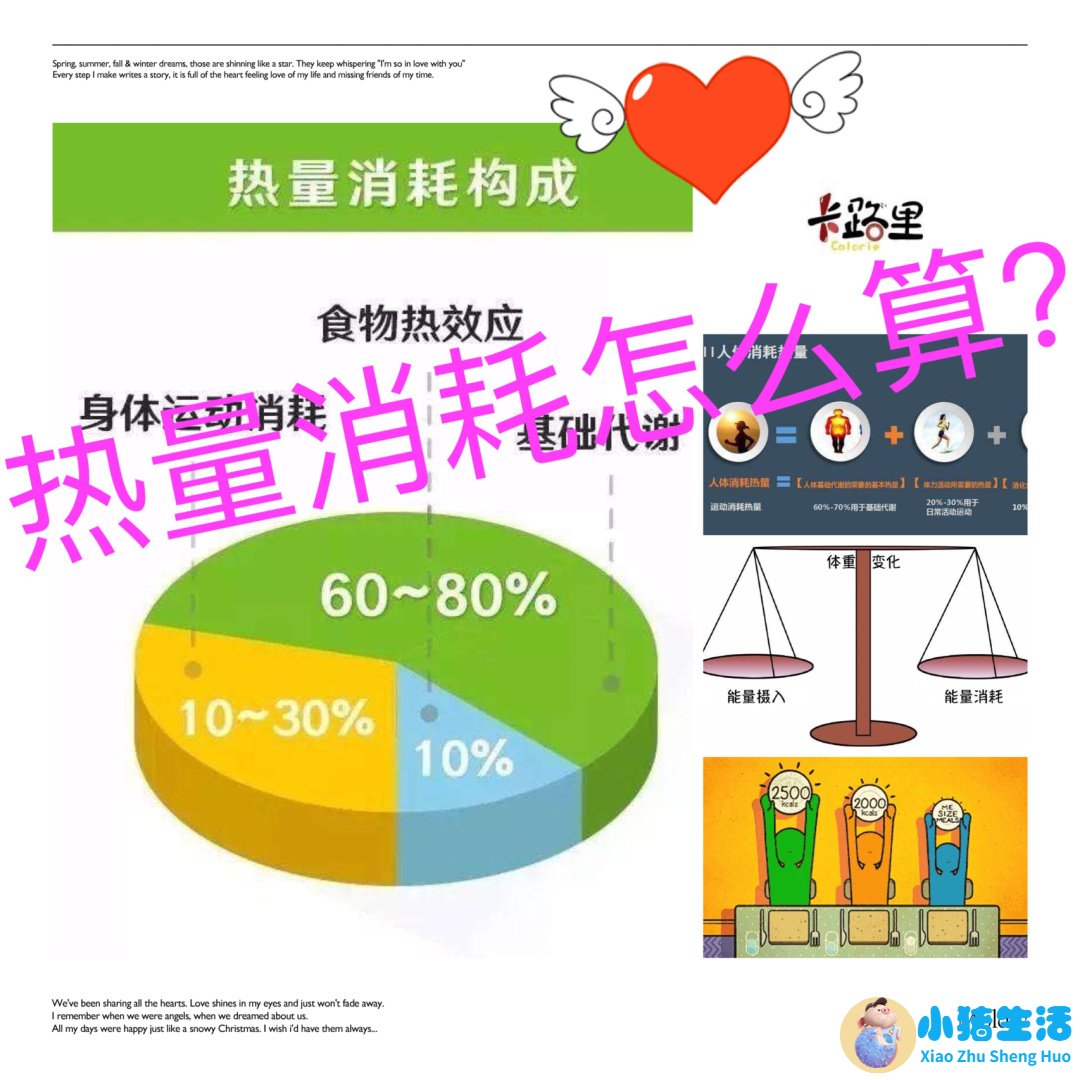 夏天最简单的减肥方法