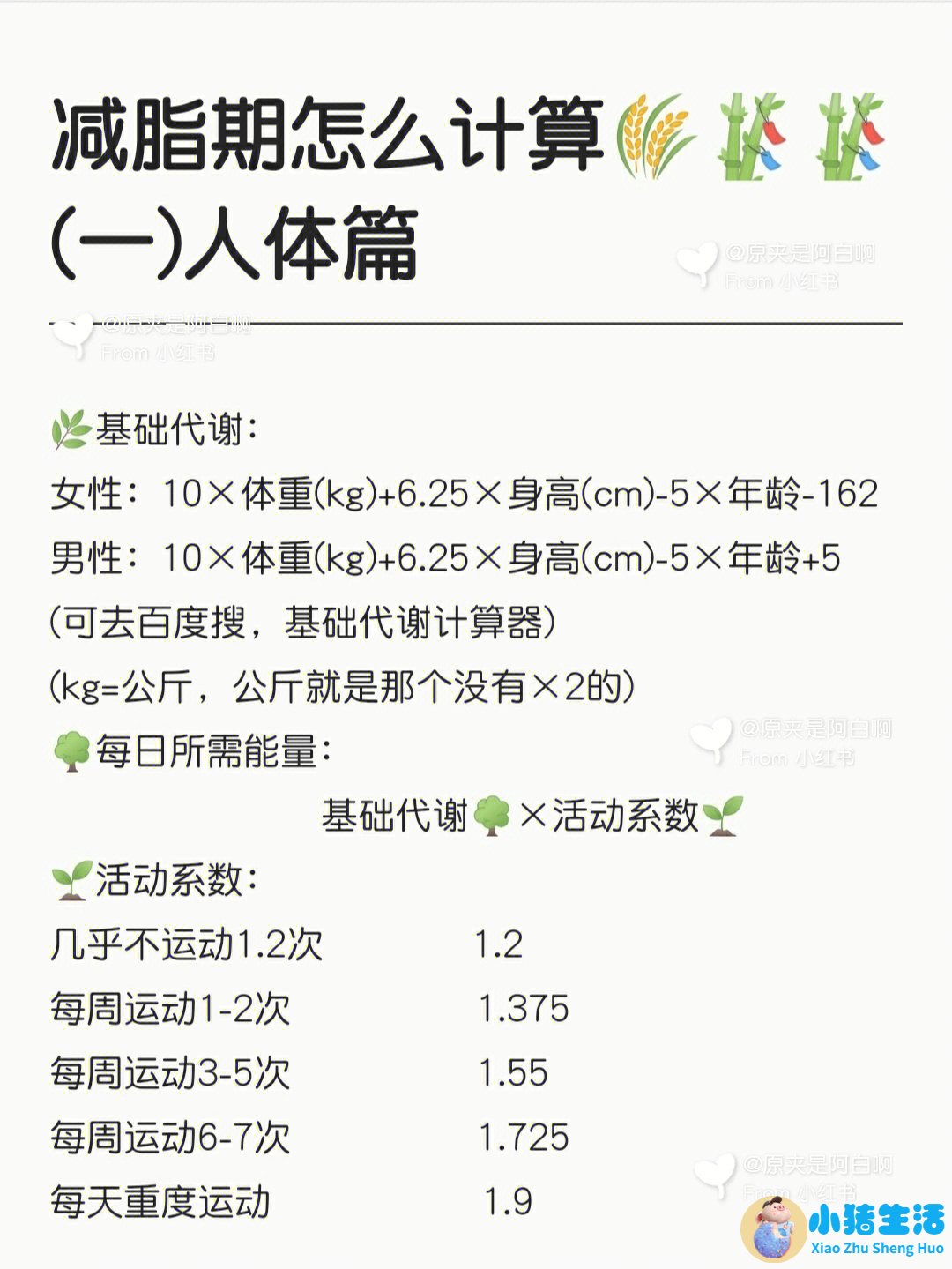 夏天最简单的减肥方法