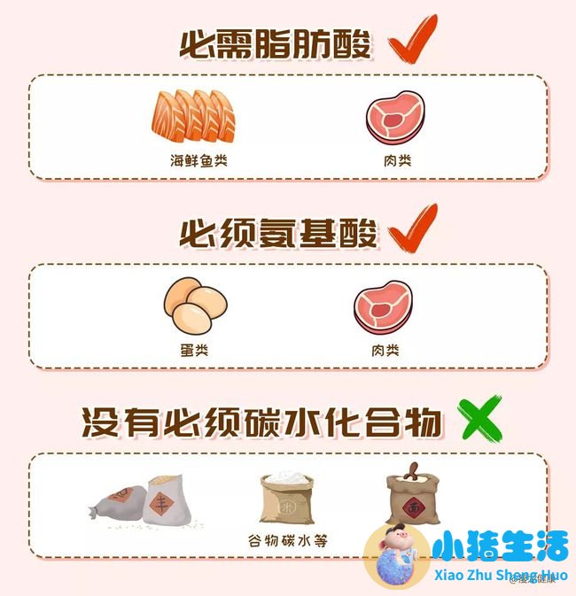 夏天最简单的减肥方法