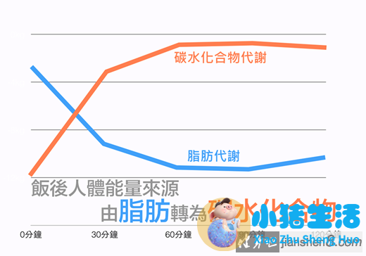 科学减肥健康食谱
