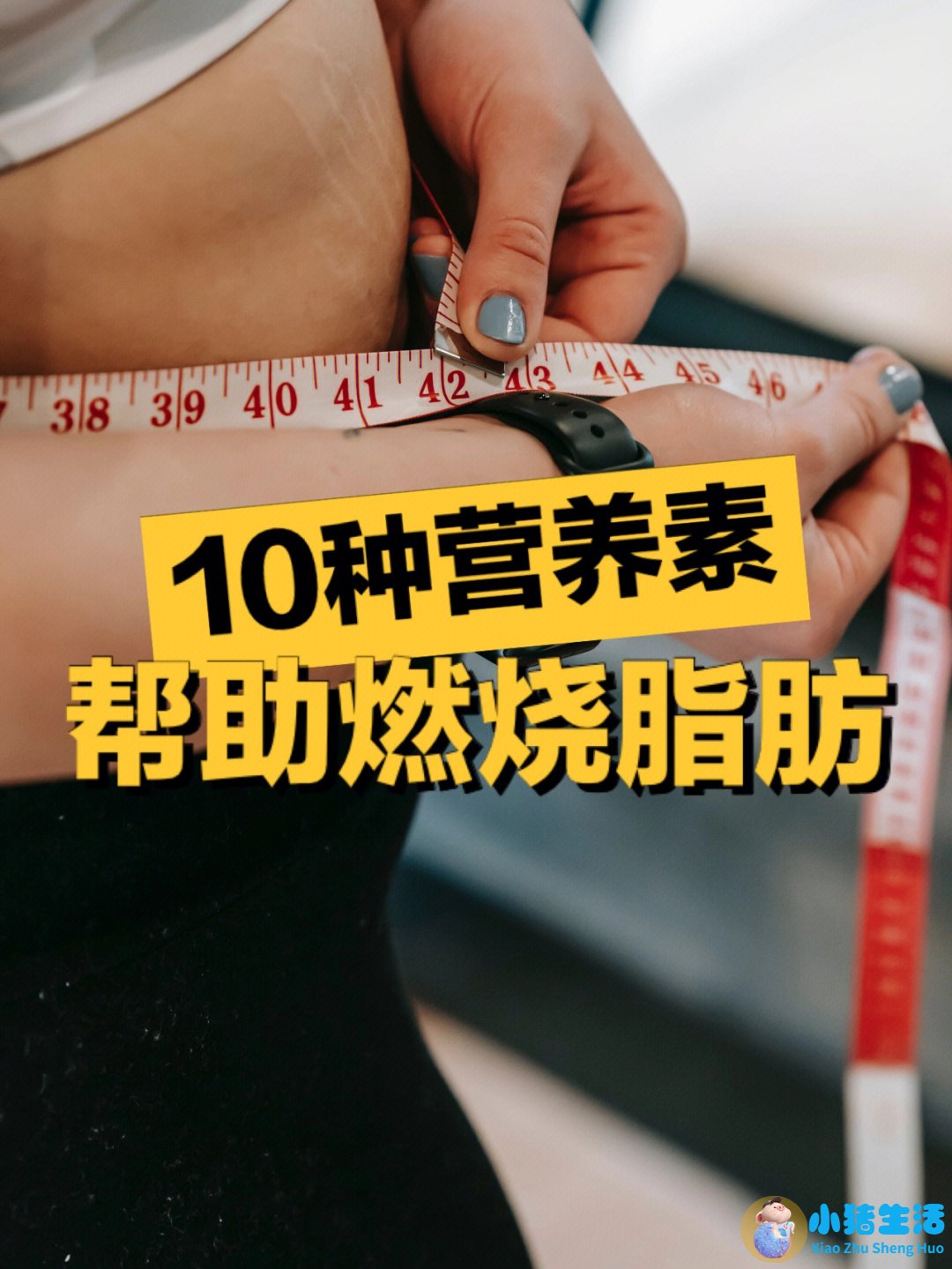 科学减肥健康食谱