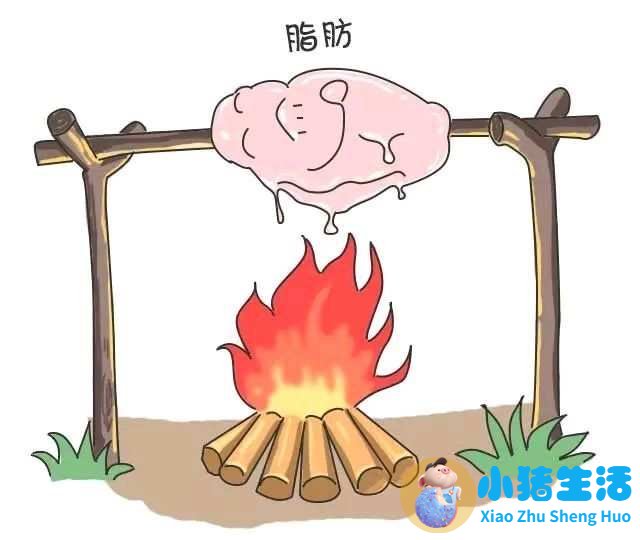 科学减肥健康食谱