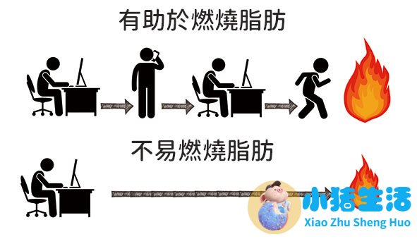 科学减肥健康食谱