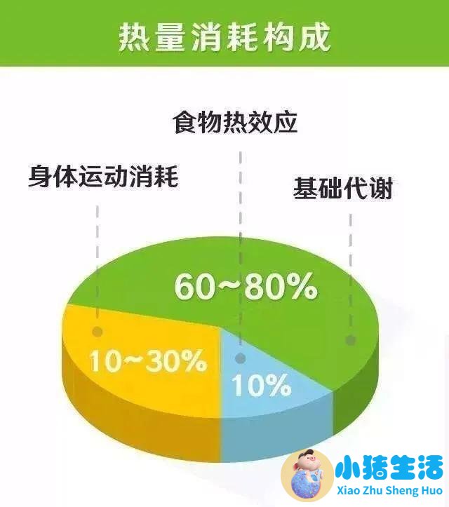 想要快速减肥，掌握这6个饮食小妙招很管