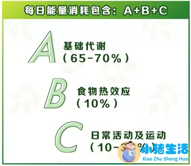 夏天最简单的减肥方法