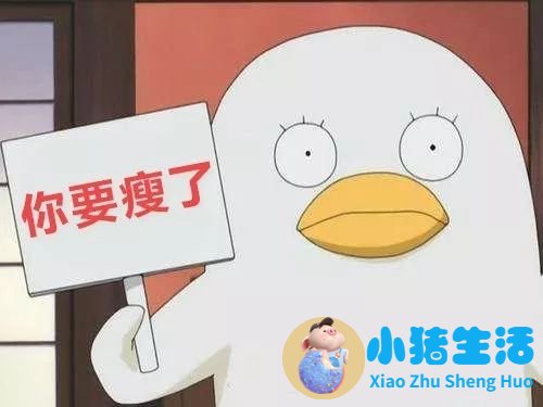 科学减肥健康食谱