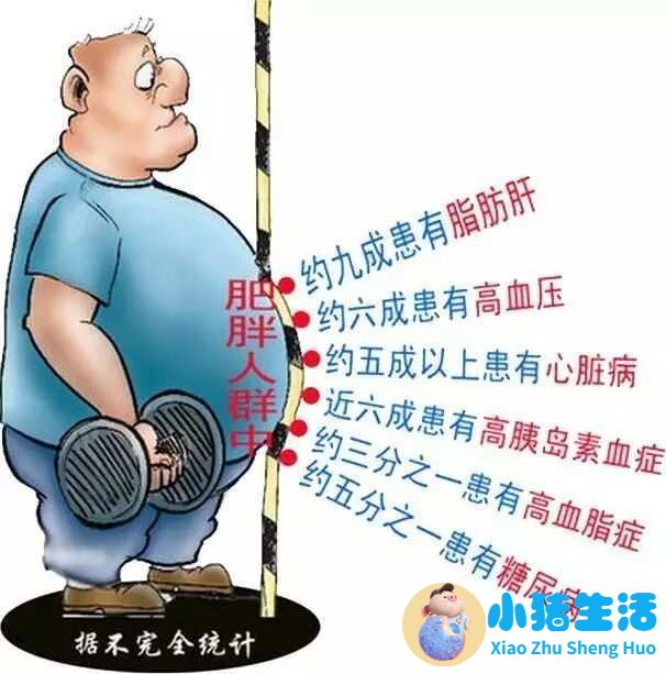 怎样可以迅速减肥方法
