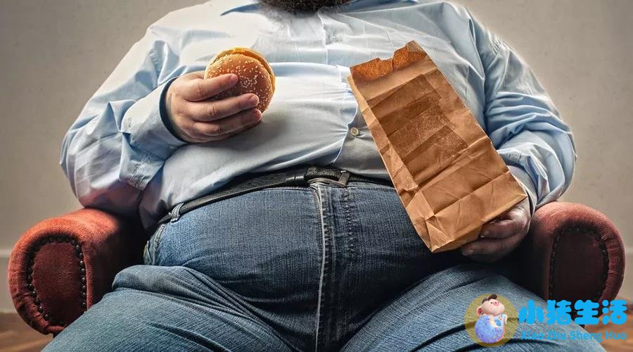 怎样可以迅速减肥方法