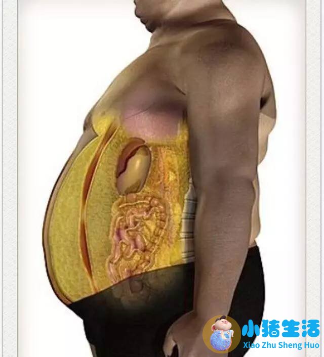 怎样可以迅速减肥方法