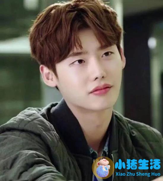4。 丹迪头
