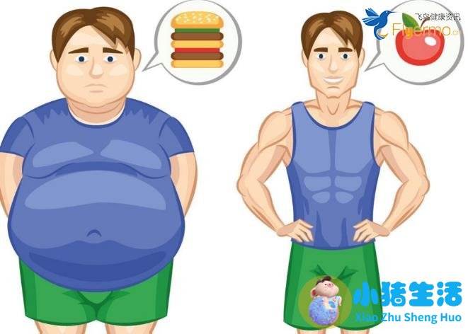 怎样可以迅速减肥方法