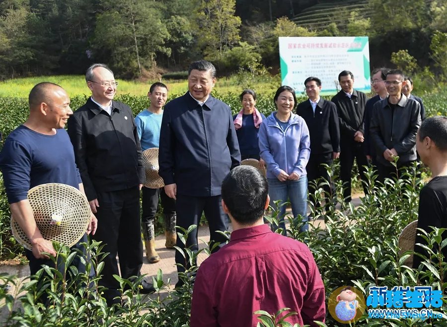 中央水处理系统有用吗