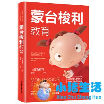 蒙台梭利早期教育总结