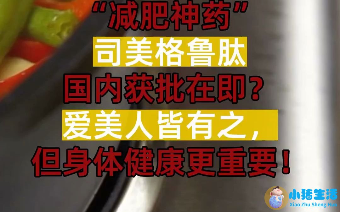 科学减肥书