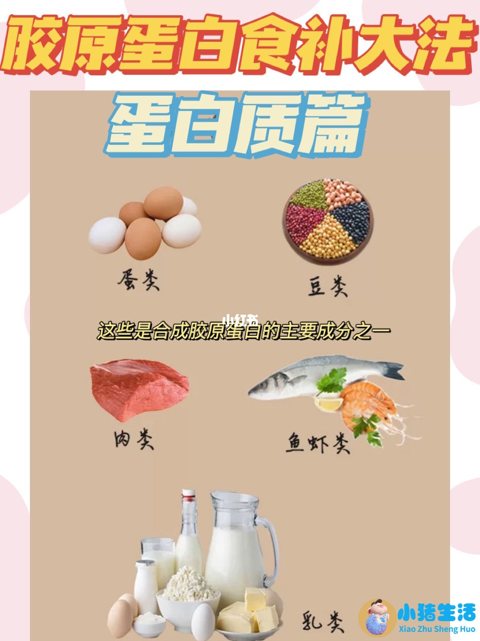 孕妇吃什么能补充胶原蛋白