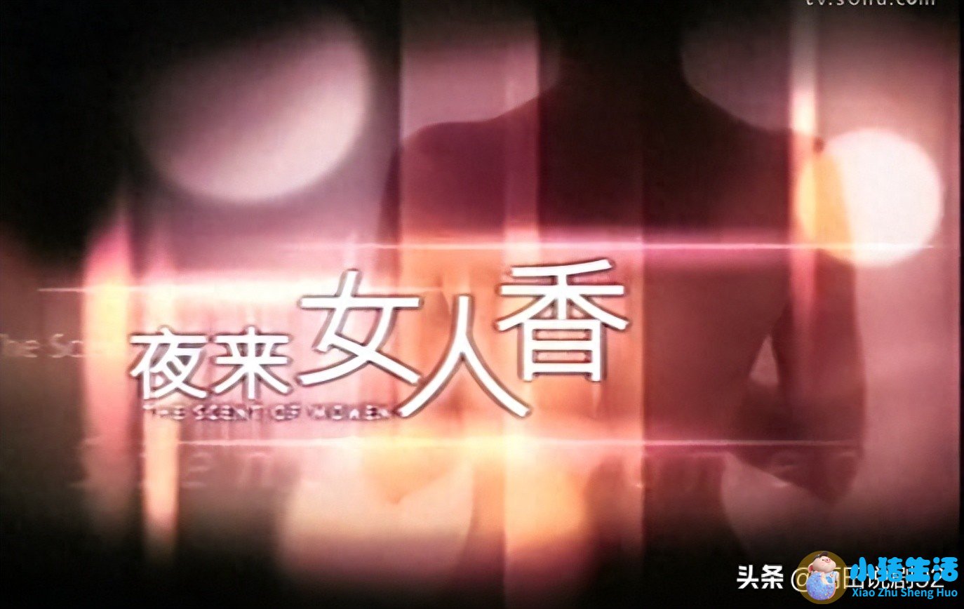 女性时尚节目