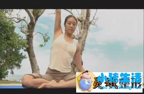 玉珠铉减肥瑜伽第二部