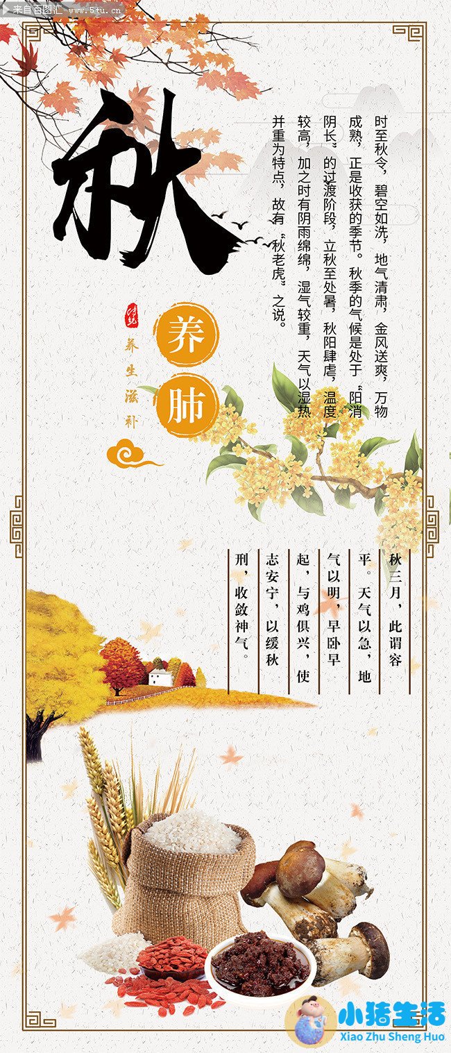 四季健康养生知识