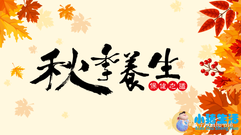 秋季女性养生食谱