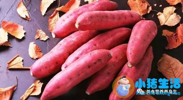 秋季女性养生食谱