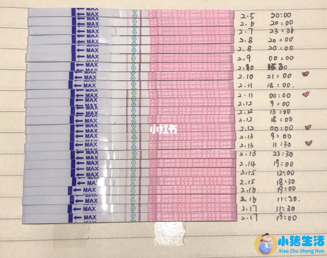 排卵第九天排卵试纸弱阳有怀孕的可能吗