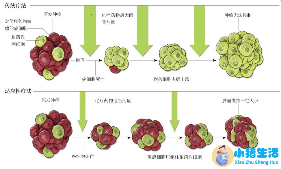 秋季女性养生食谱