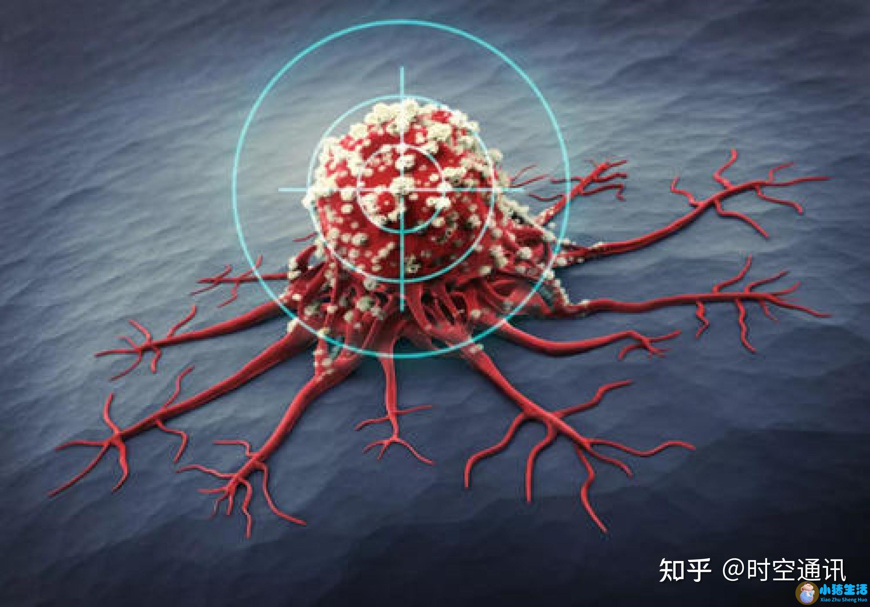 秋季女性养生食谱