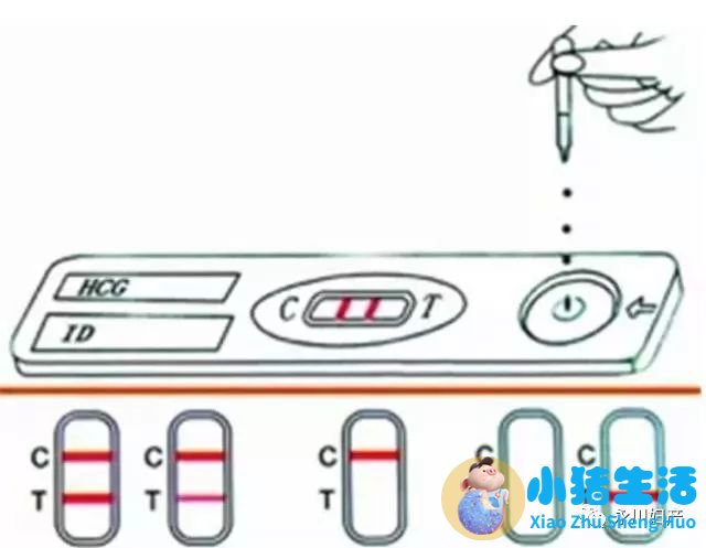 排卵试纸测出怀孕图片