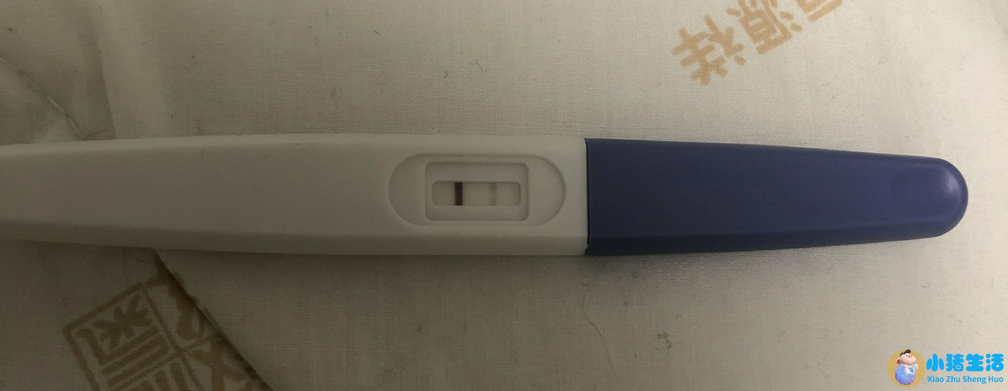 排卵试纸测出怀孕图片