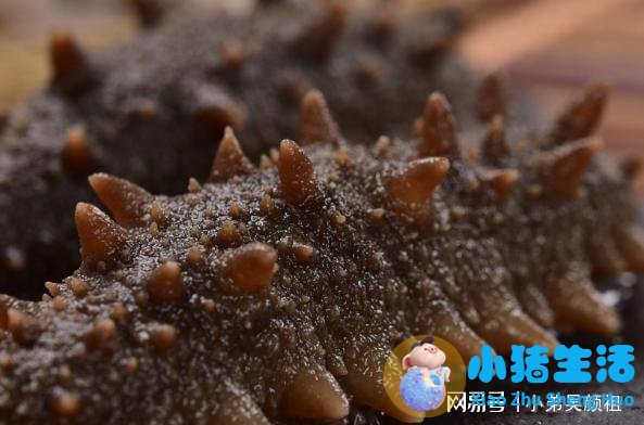 有服用海补乐宝怎么样