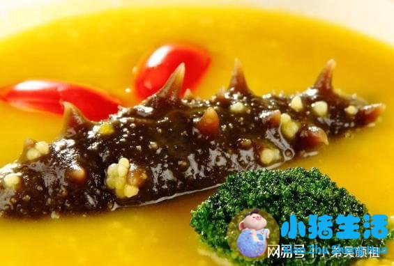 有服用海补乐宝怎么样