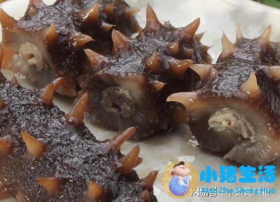 有服用海补乐宝怎么样